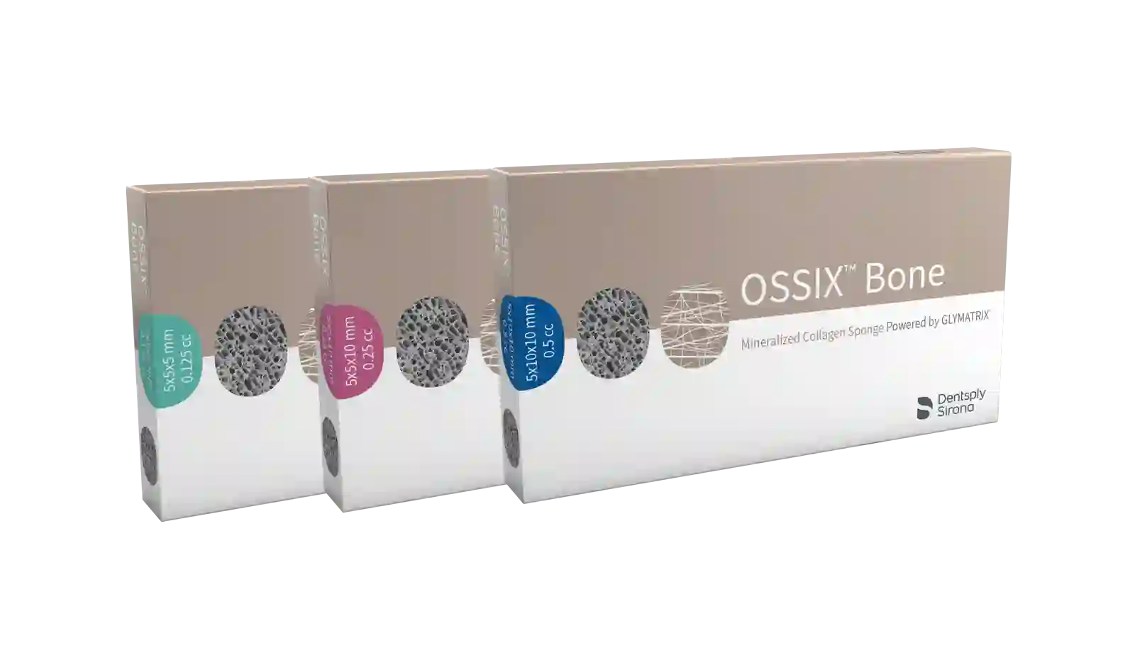 OSSIX Bone