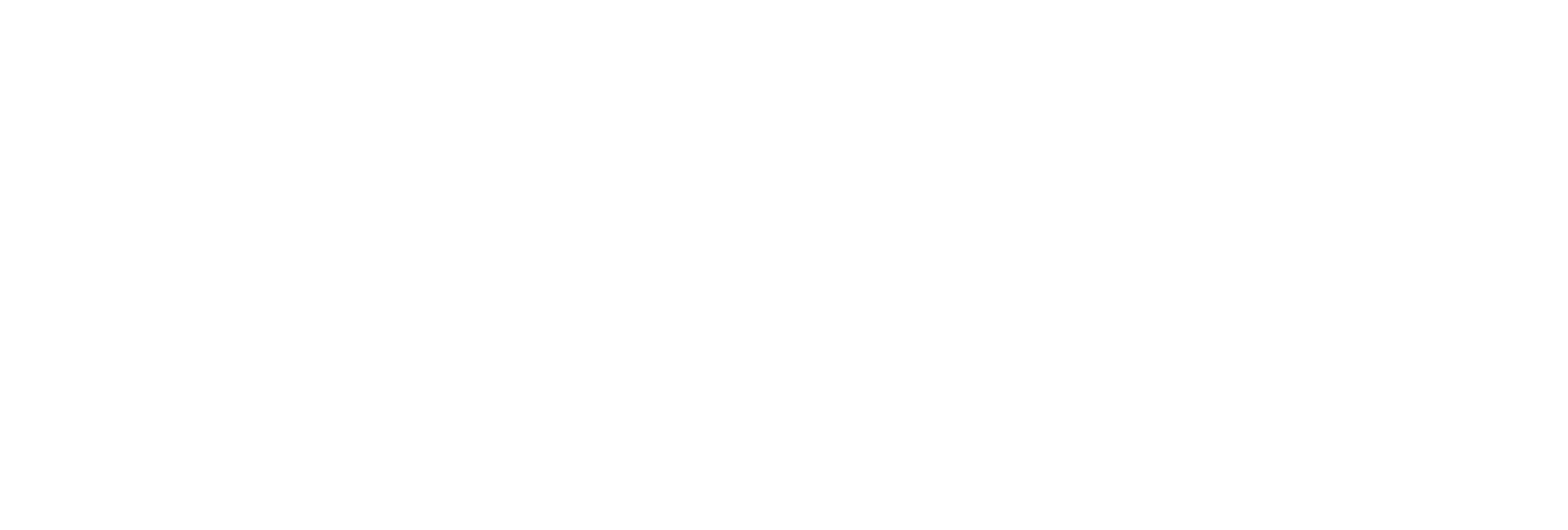 OSSIX Bone